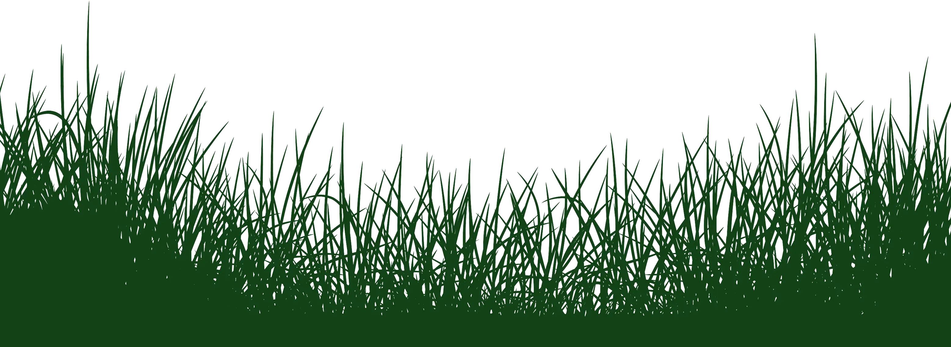 background image of grass