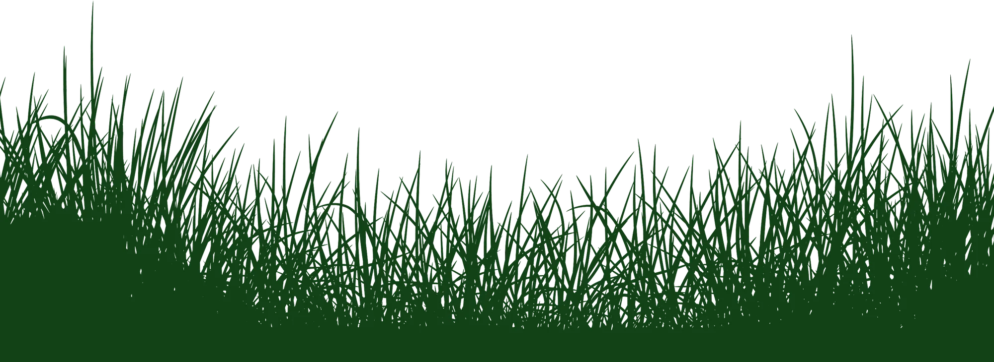 background image of grass