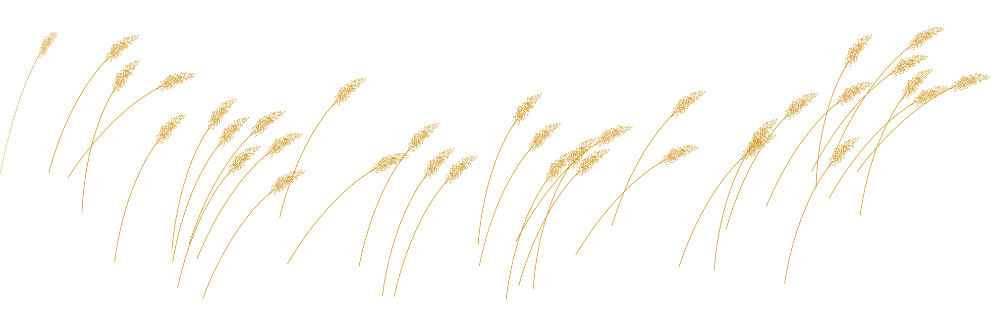 background image of reeds