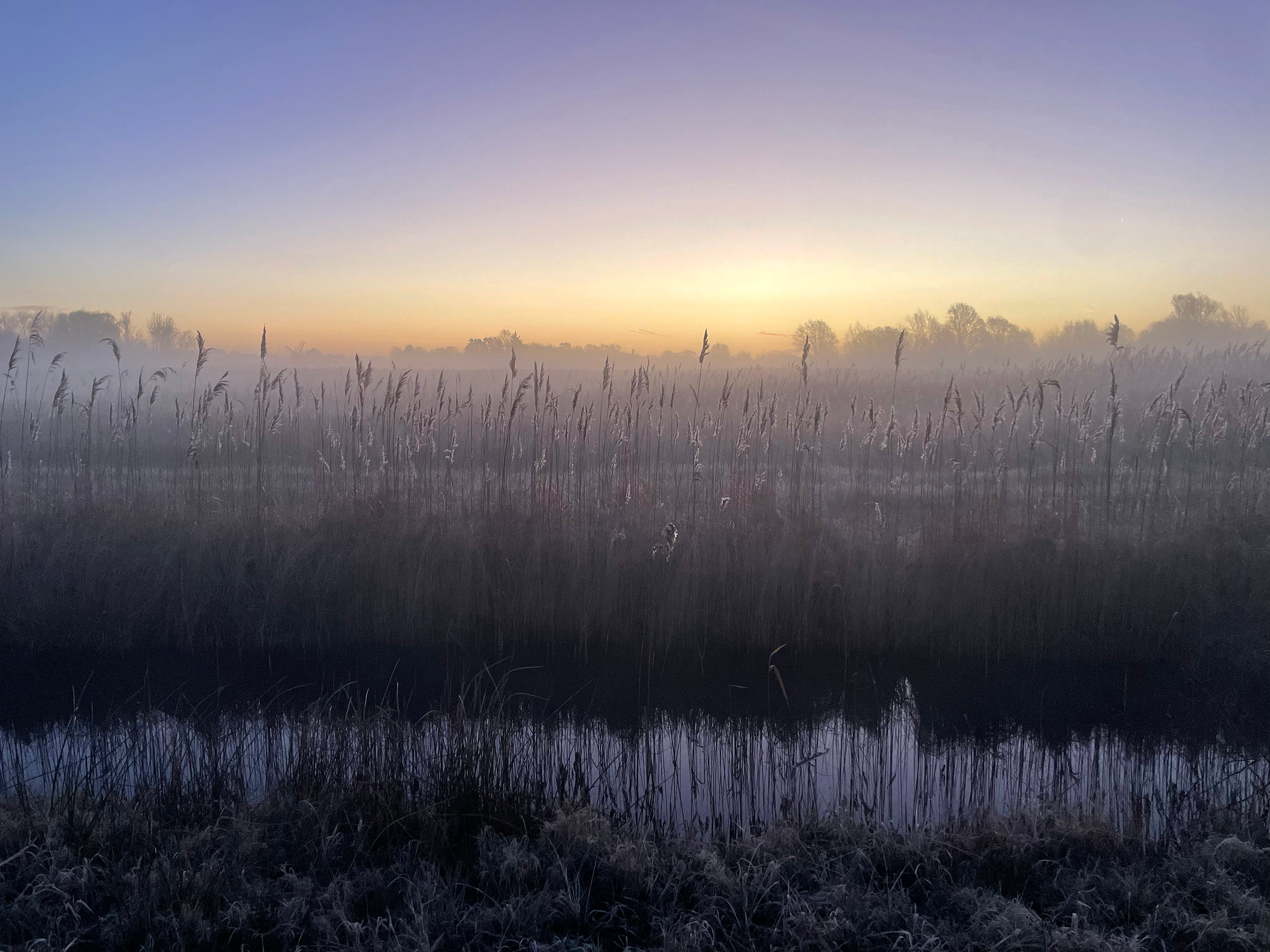 Water Levels of Sedge Fen