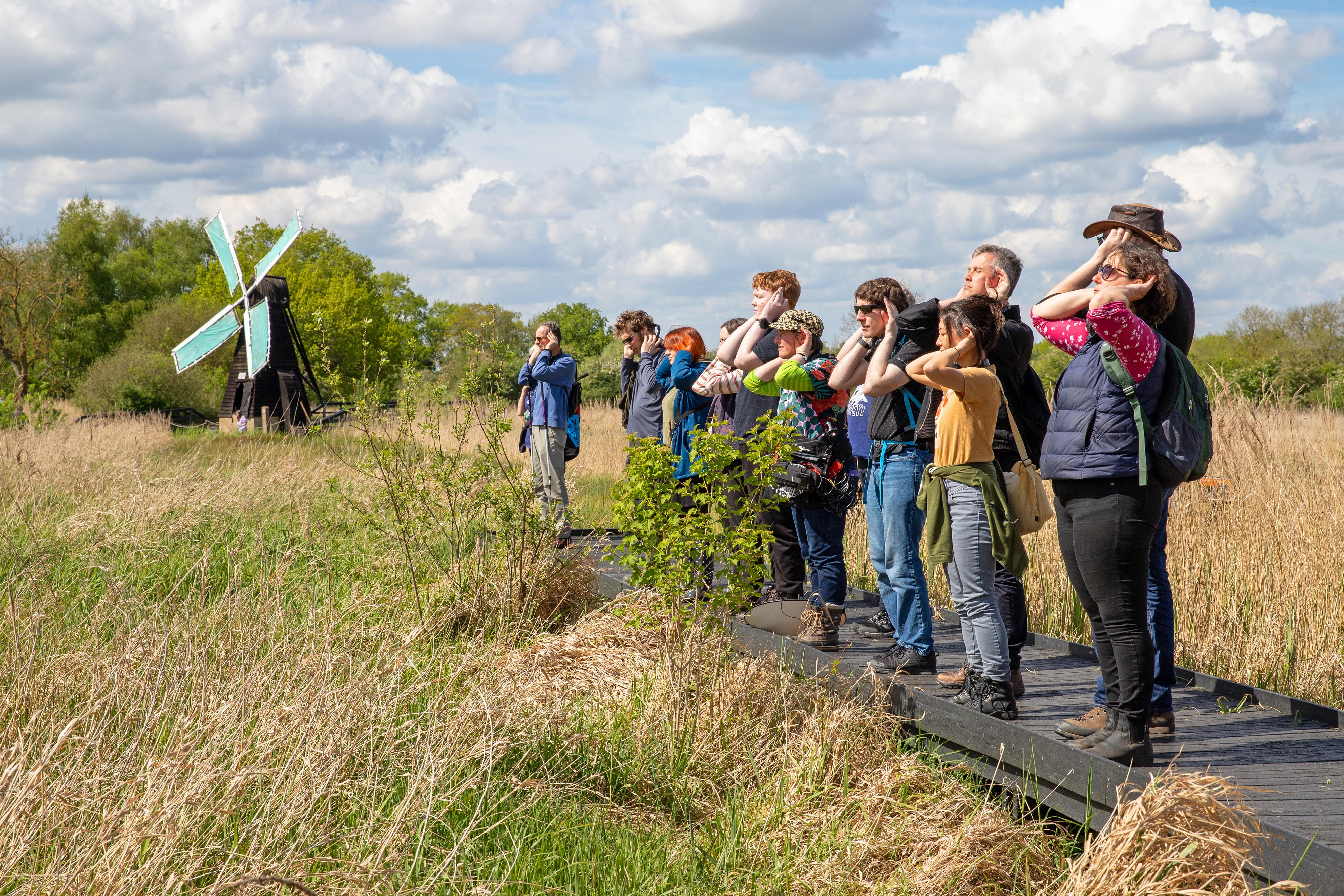 Listening Walks
