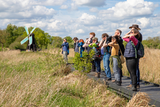 Listening Walks